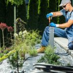 Leo commodo varius fringilla vel nostra tempor